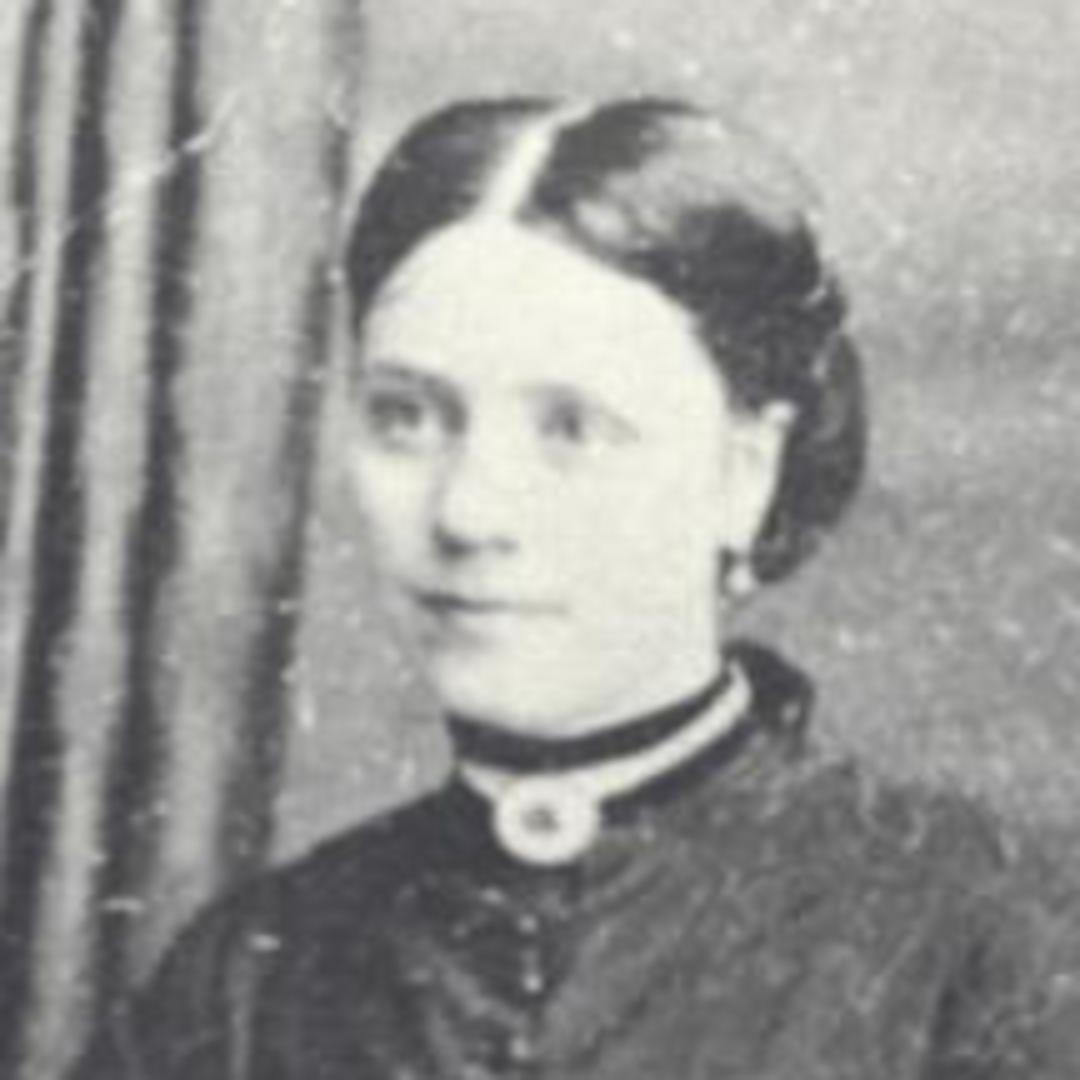 Anne Howe (1843 - 1895) Profile